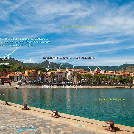 Location Riere Collioure 아파트 *
